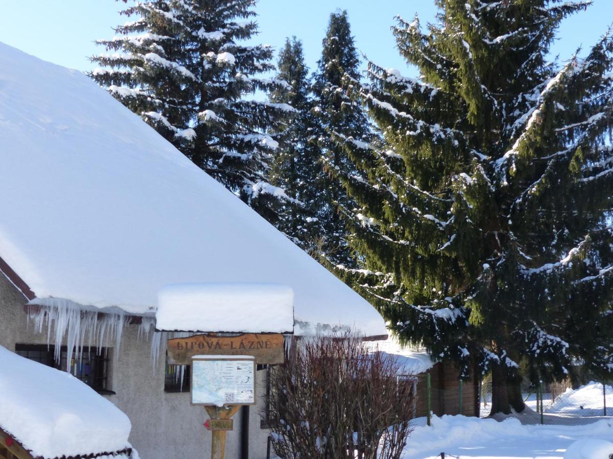 Apartmany Plischke Lipová-lázně Dış mekan fotoğraf